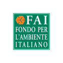 logo fai