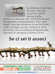 Federcongressi Poster Se ci sei ti associ-Formiche